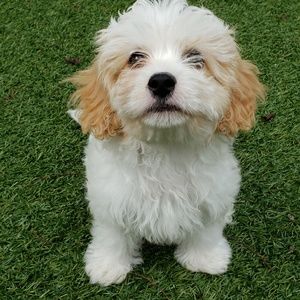 Meet your Posher, Linda